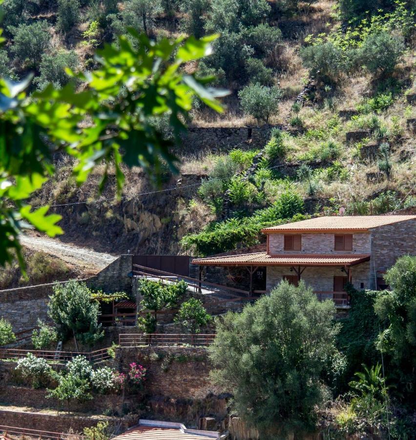 Casa Da Encosta Douro Valley Pinhão Екстериор снимка